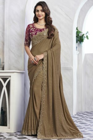 Chikoo Color Border Work On Art Silk Fabric Stunning Saree